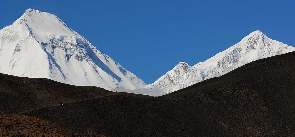 Dhaulagiri und Tukuche Peak