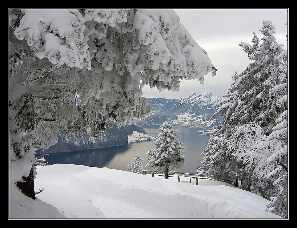 d'hiver sur le Rigi