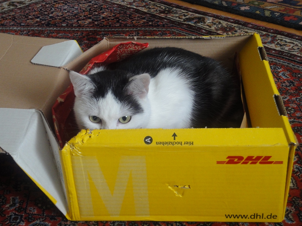 -DHL-