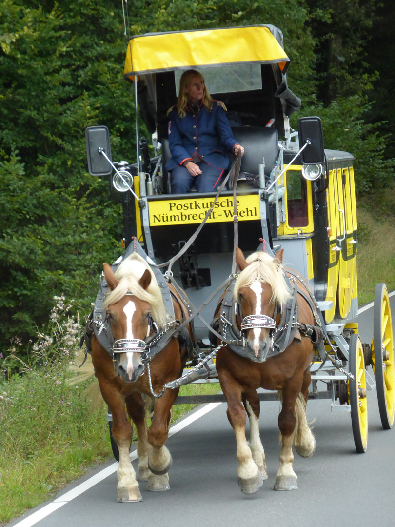 DHL im Bergischen