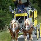 DHL im Bergischen