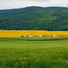 DHL im Inustriegebiet Mecklar/Meckbach