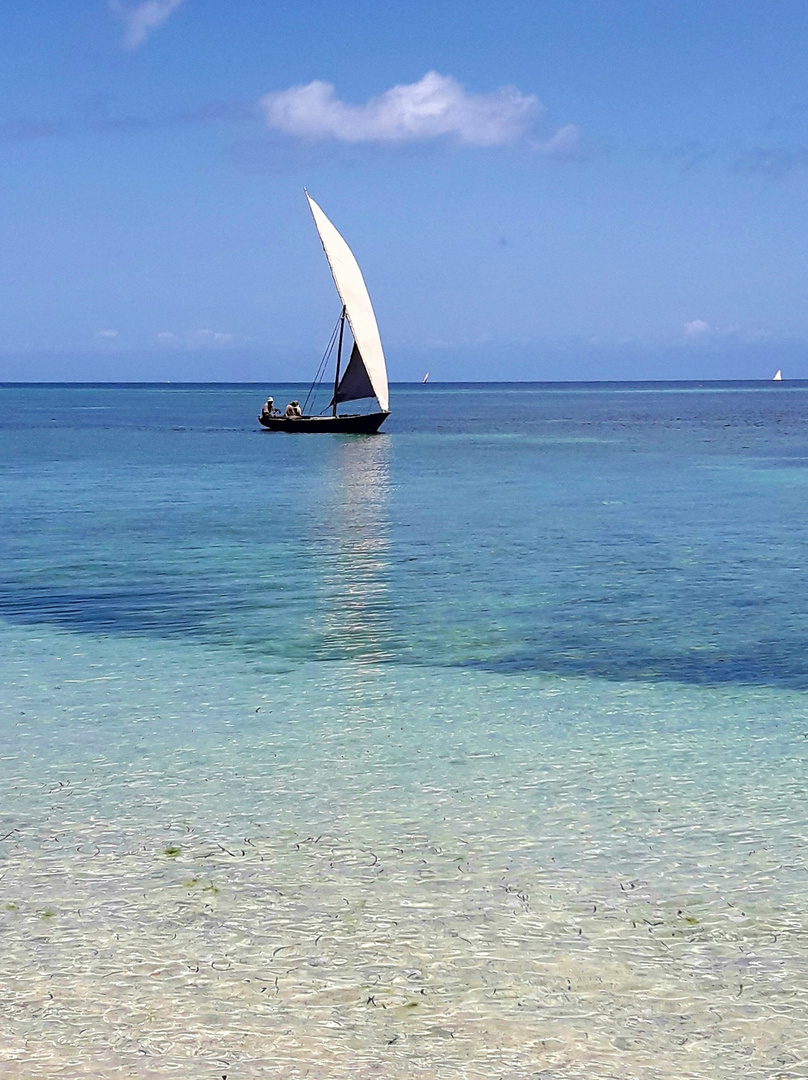 dhow sous voile