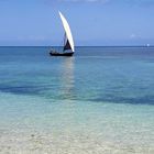 dhow sous voile