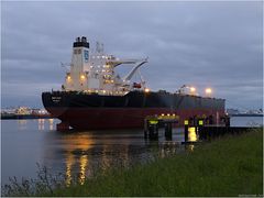 DHT ANN / Crude Oil Tanker