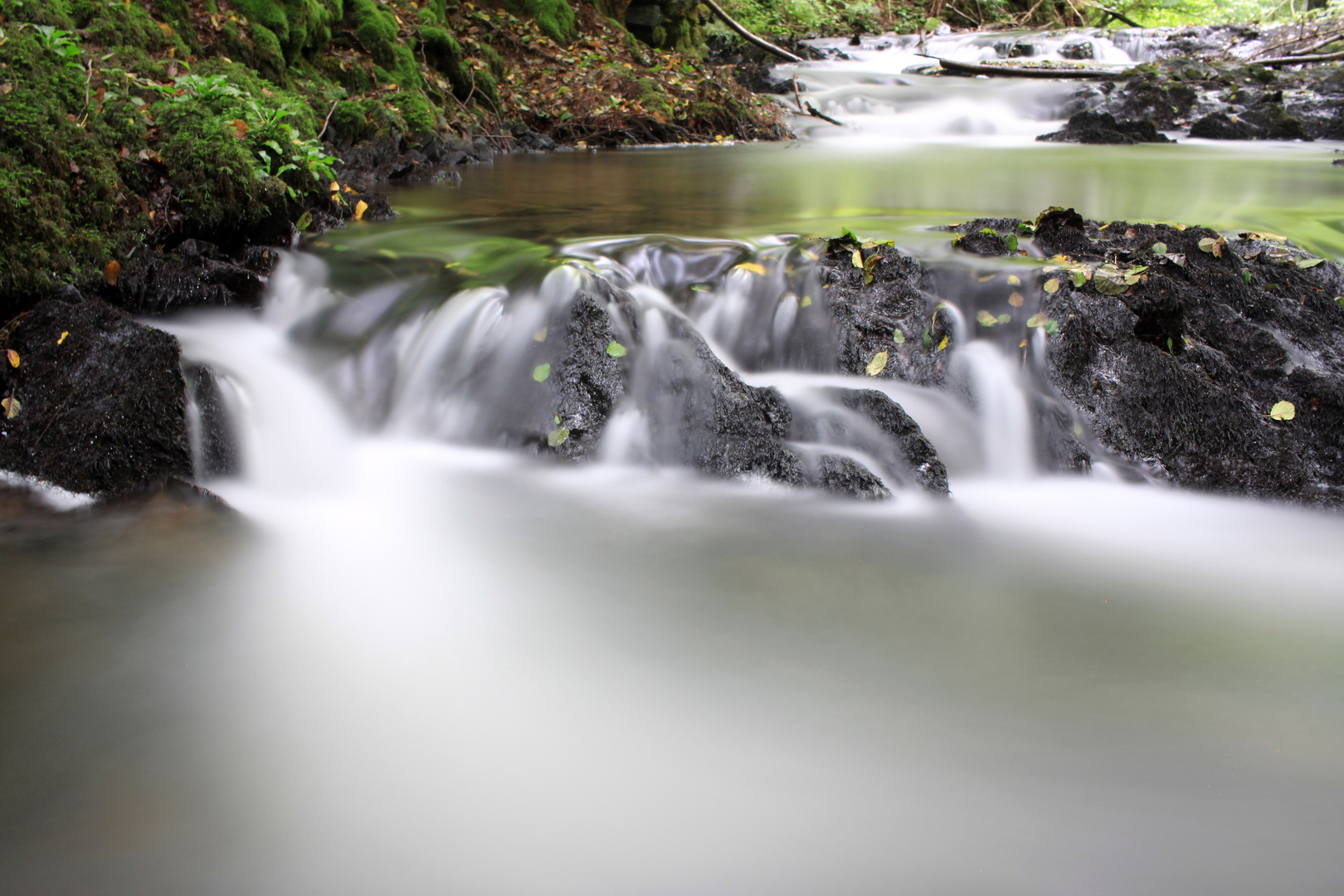 Dhünn im fluss