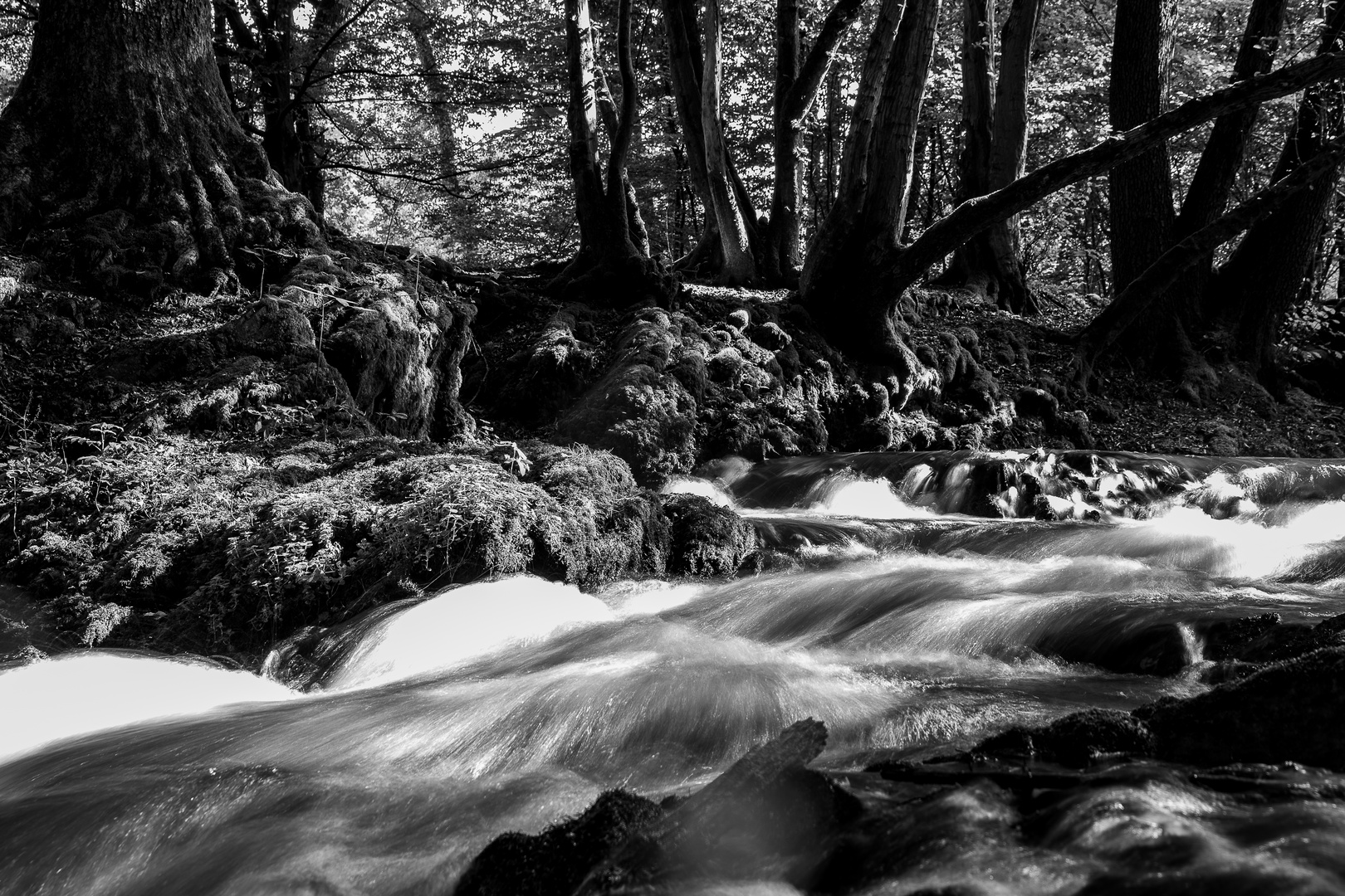 Dhünn im "Fluss"