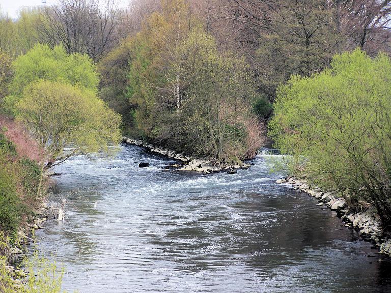 Dhünn-Wupper Mündung