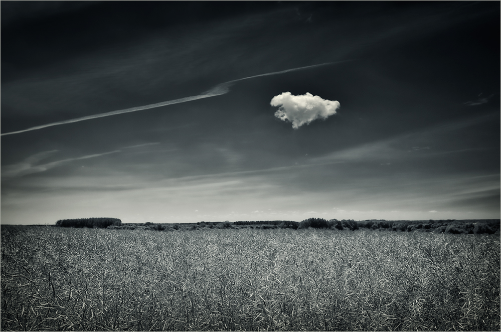 Di cielo...e pure di Terra