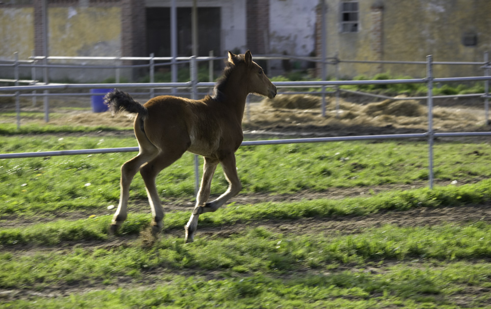 ..di corsa da mamma...