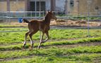 ..di corsa da mamma... di Fabio Milani 