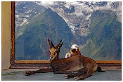 di fronte al monte bianco....