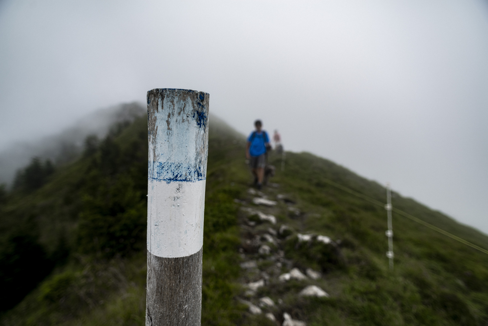 Di ritorno dal Gugliemo