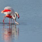 Di Spiegeltag 15_Flamingo Yoga