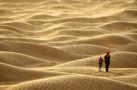 ...Di Umani e di Dune... di Alessandro Rovelli 