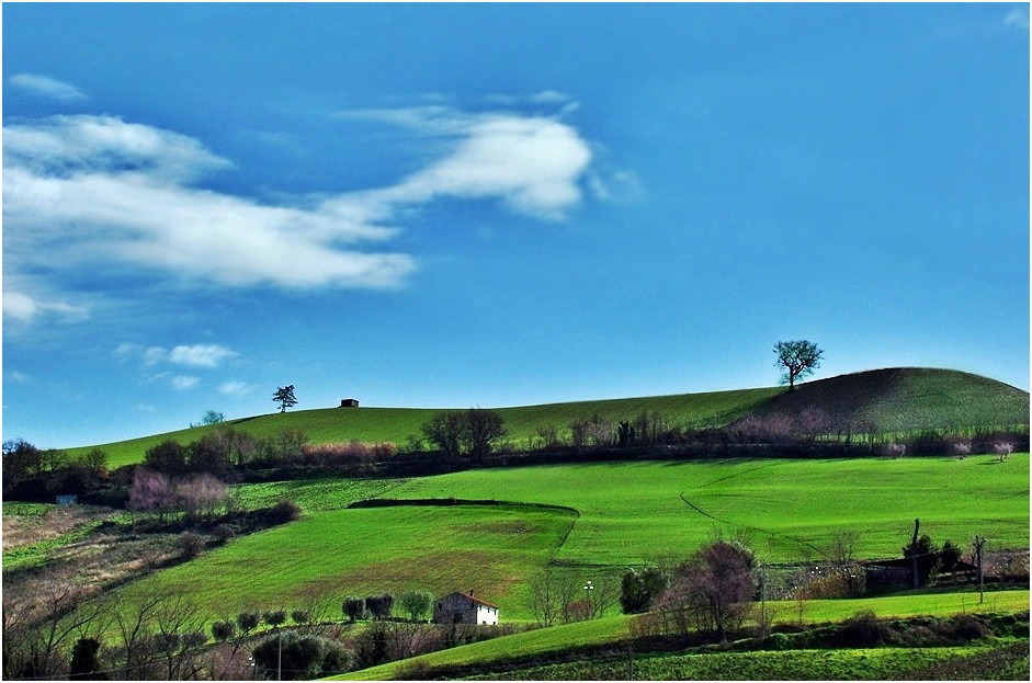 Di verde e d'azzurro.....