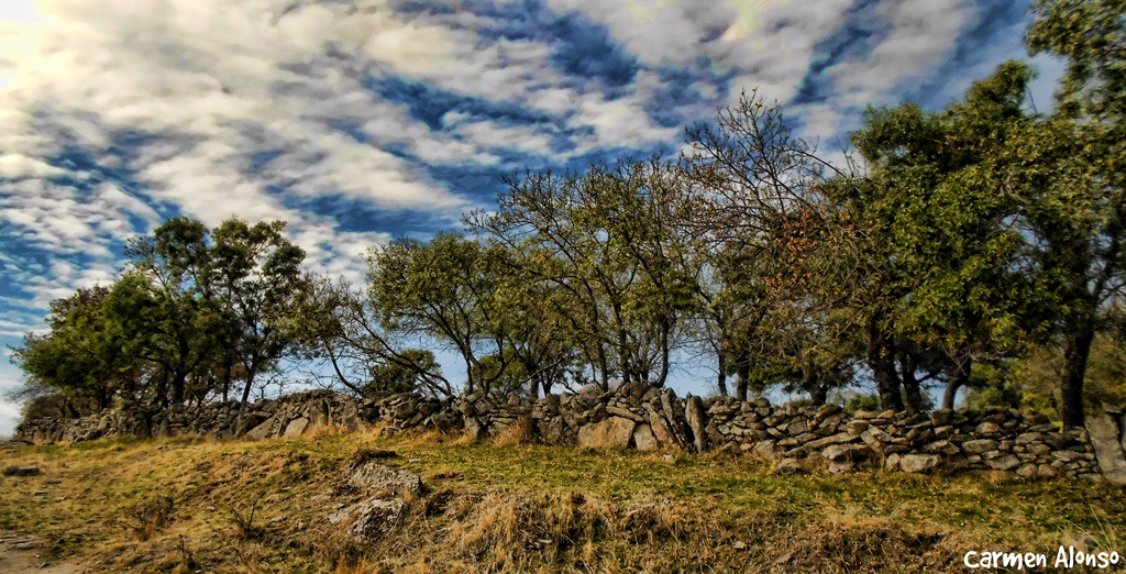 Día de campo (Para Nieves)