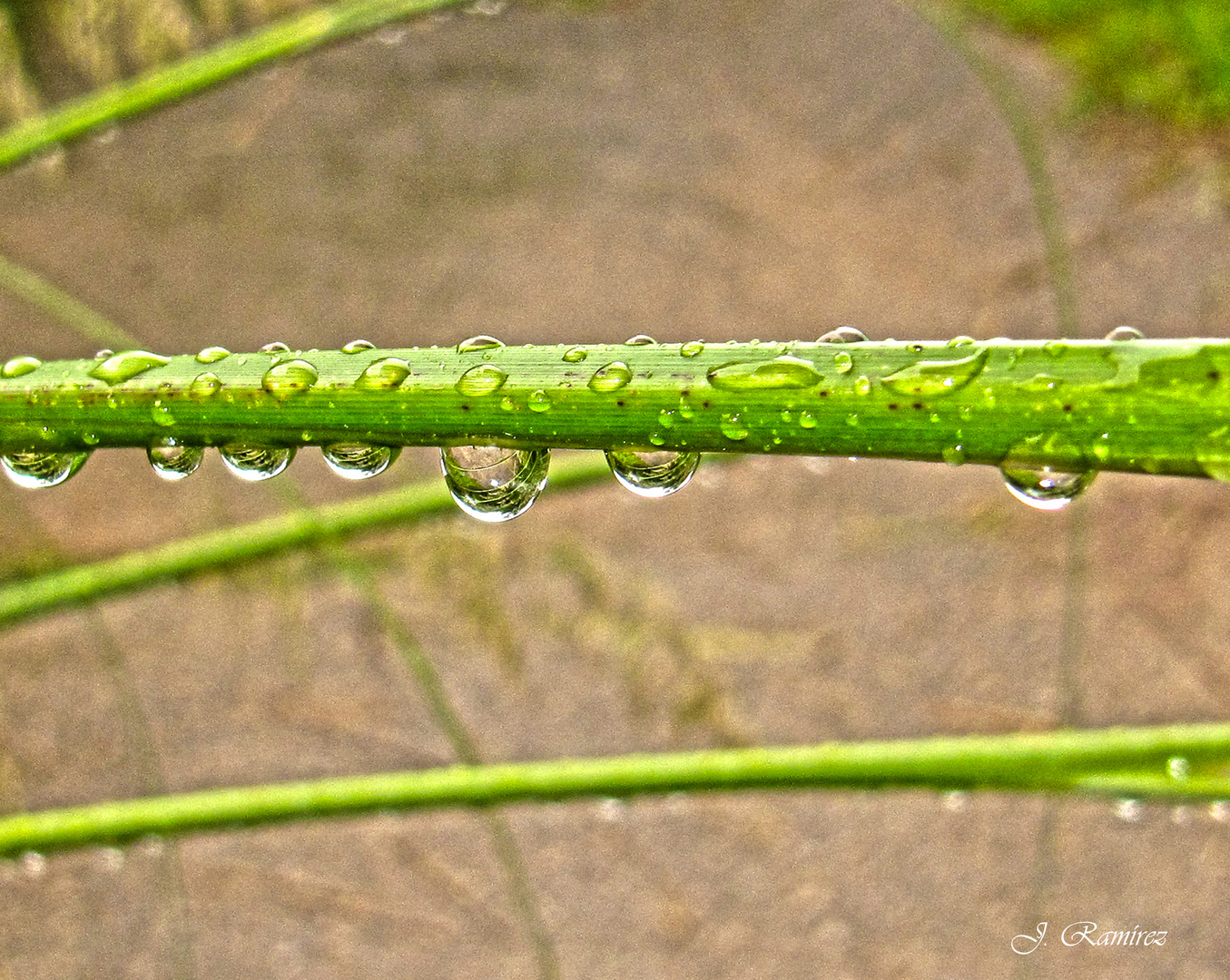 Día de lluvia