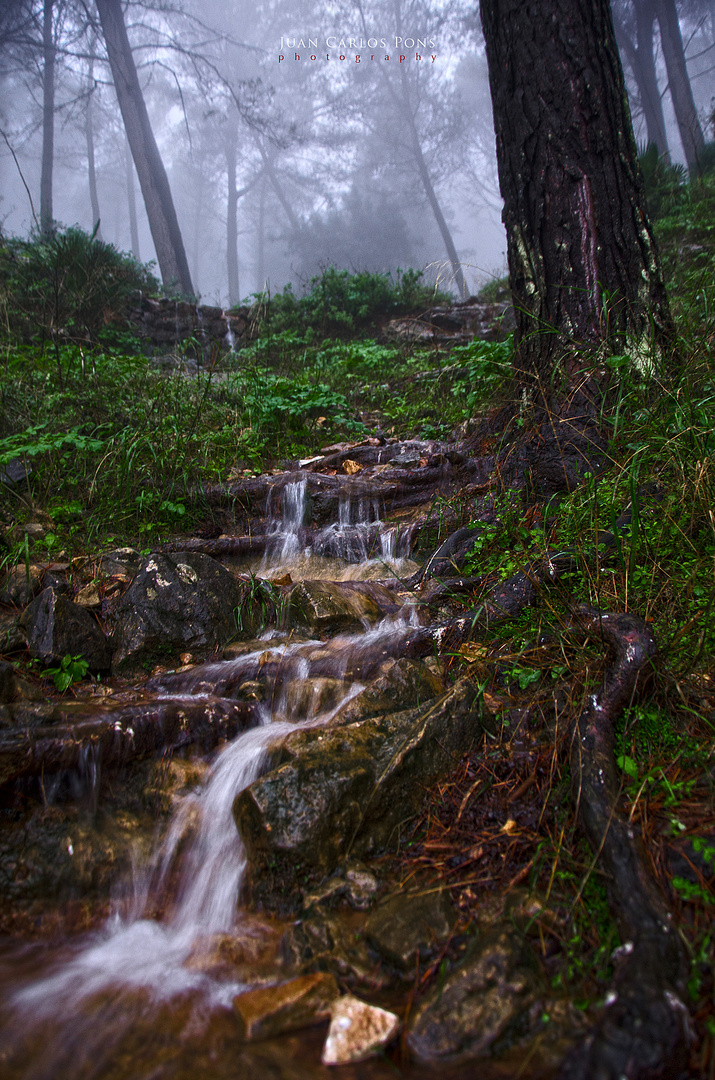 Día de lluvia