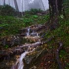 Día de lluvia