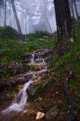 Día de lluvia