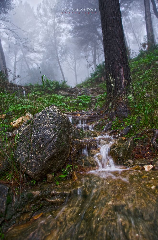 Día de lluvia II