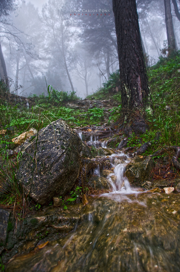 Día de lluvia II