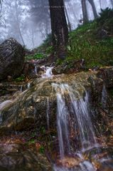 Día de lluvia III