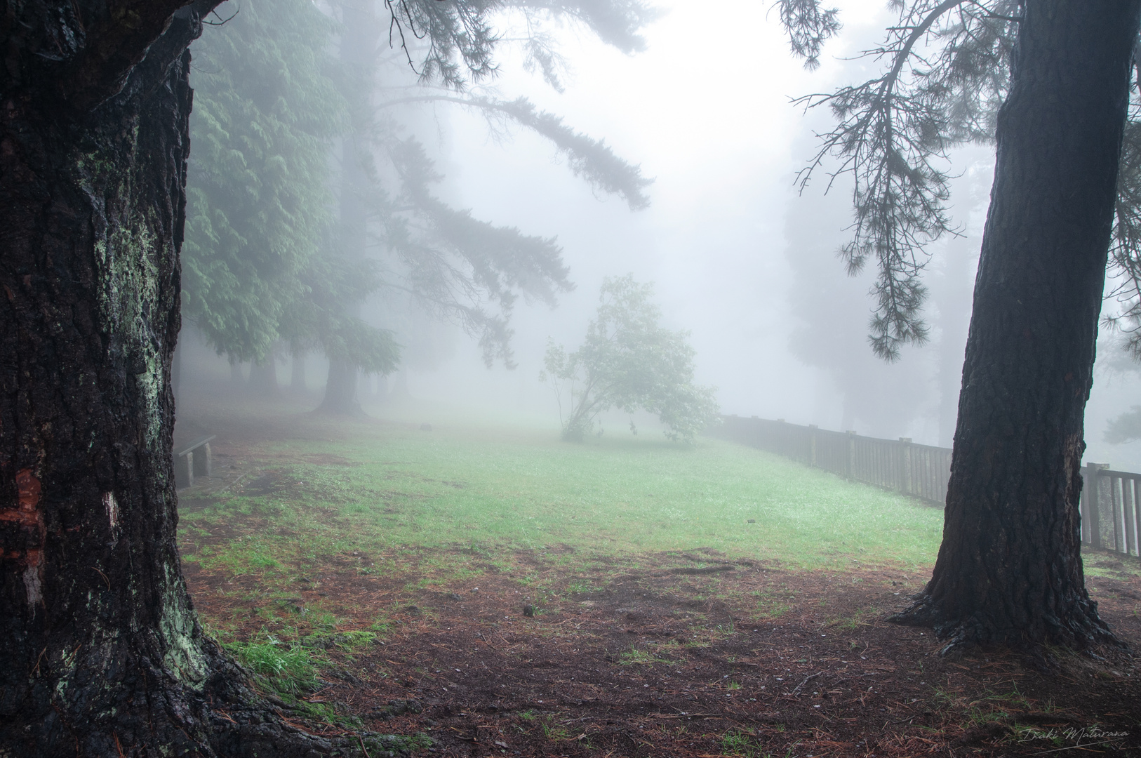 Día de niebla