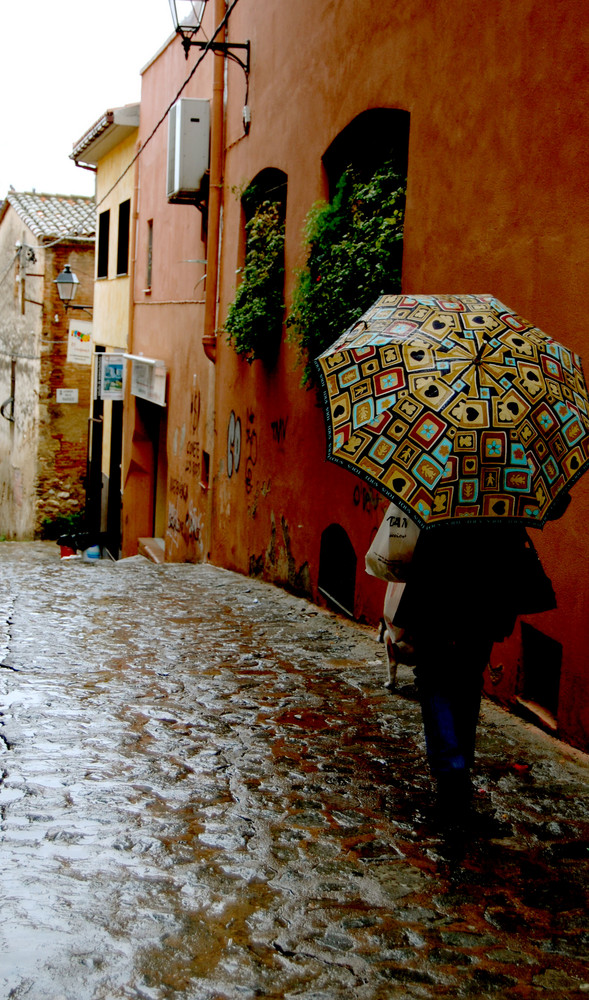 Dia de pluja