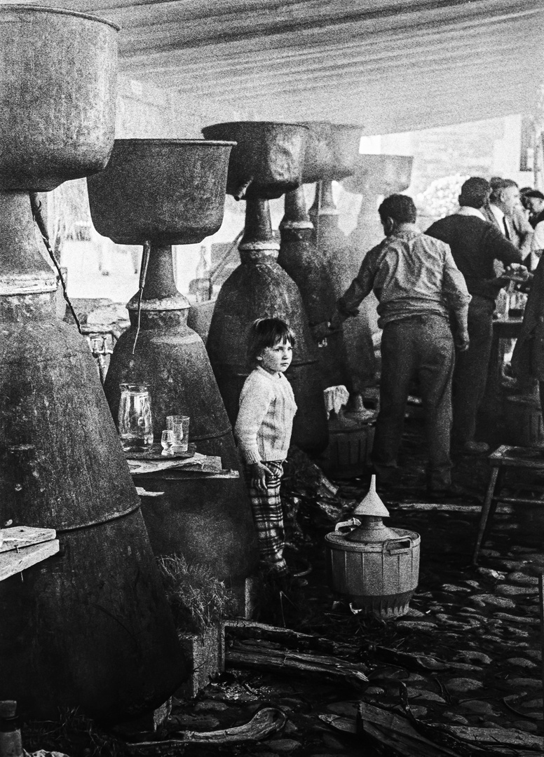 _DIA DEL AGUARDIENTE EN PORTOMARÍN.ALQUITARAS