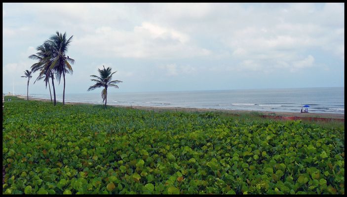 Día domingo en Coatzacoalcos