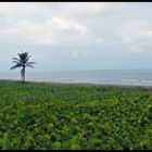 Día domingo en Coatzacoalcos