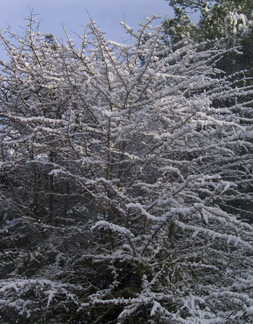 Día en la nieve 5.