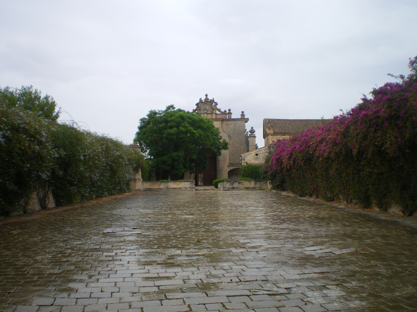 Día lluvioso (Cartuja de Jerez)