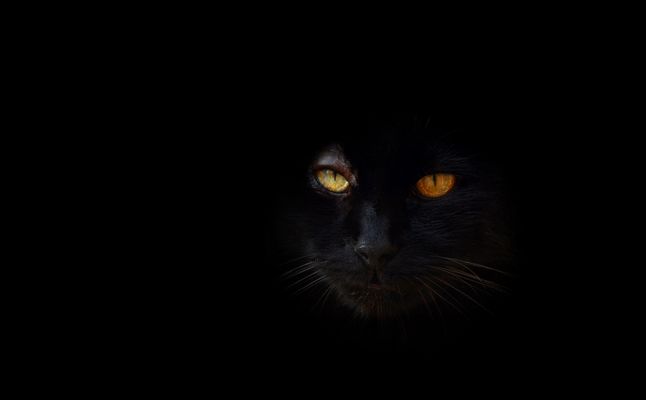 Diabolique Théo - 2