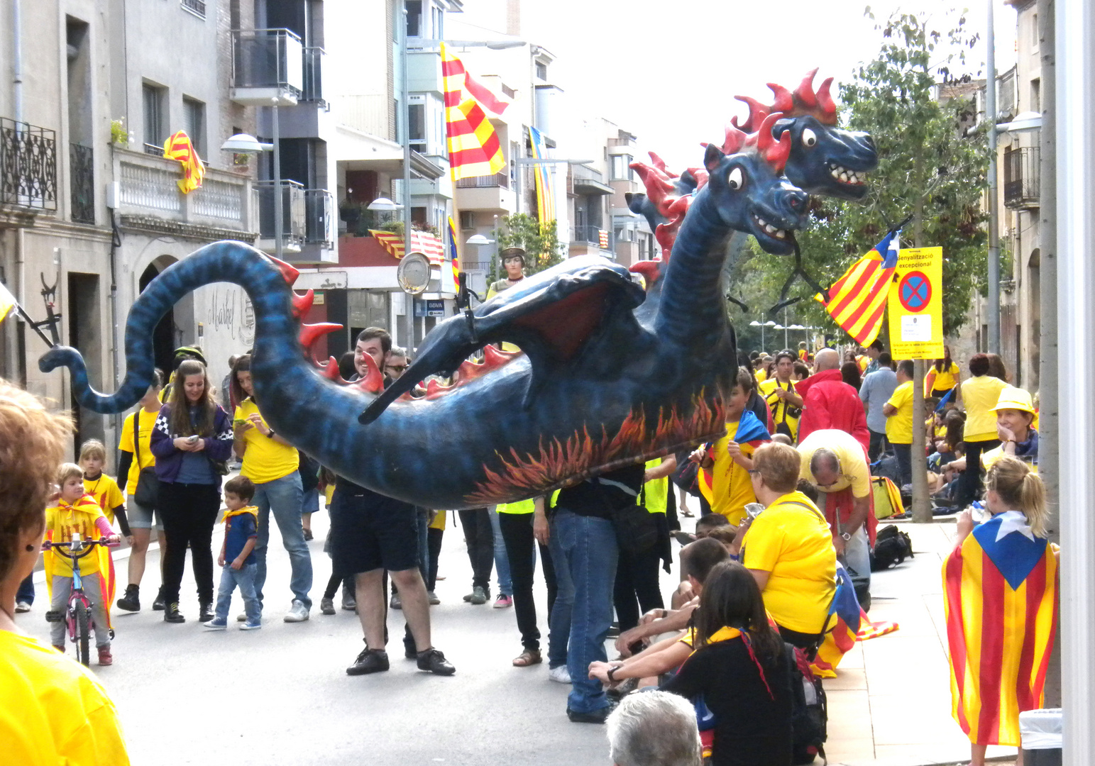 DIADA NACIONAL DE CATALUNYA