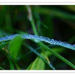 Diadem