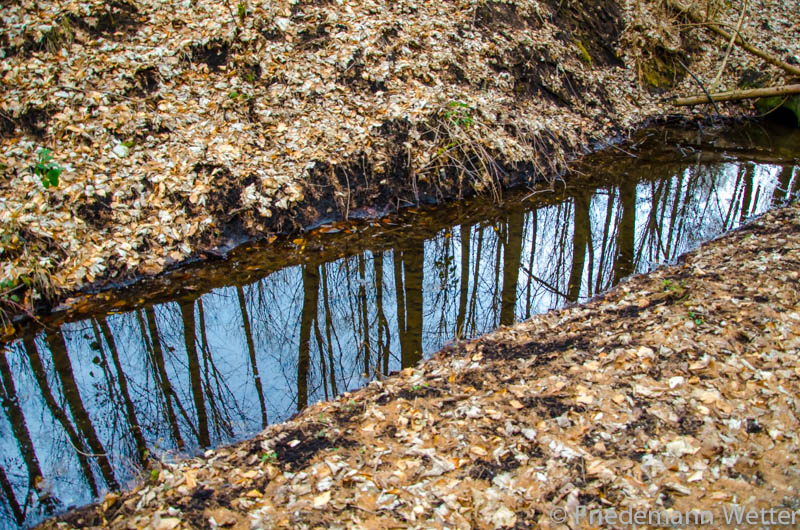 Diagonale Spiegelung