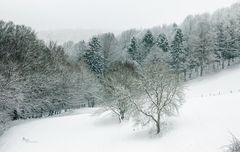 Diagonalen im Schnee