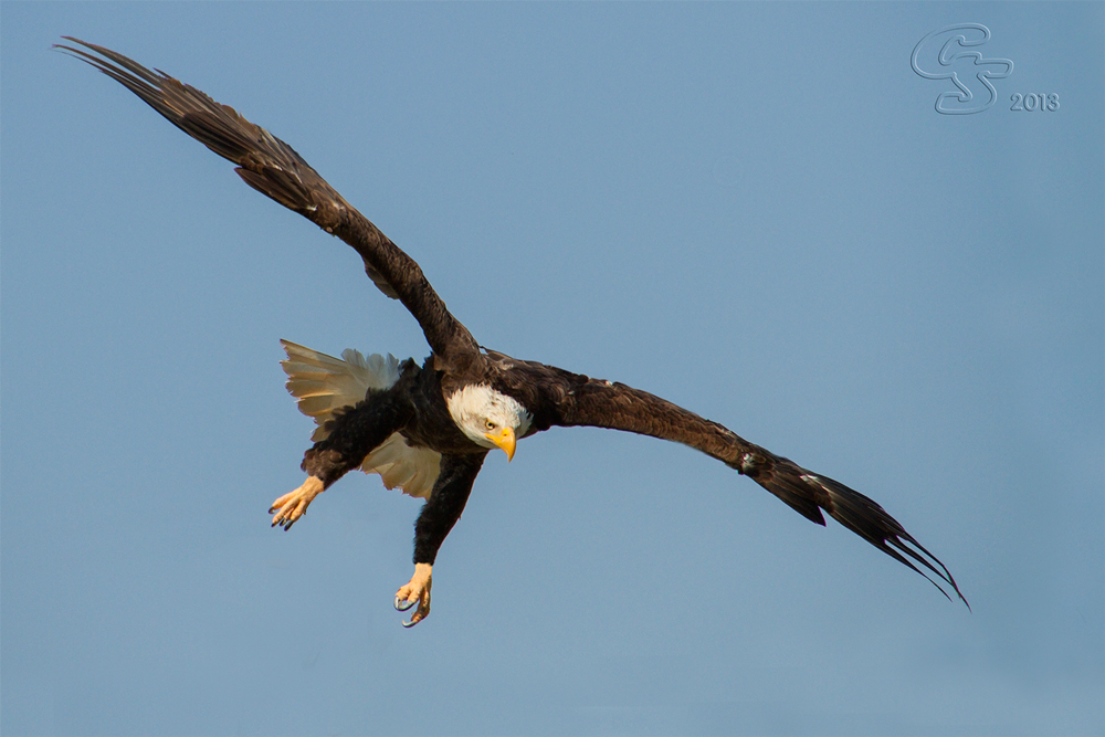 Diagonaler Anflug