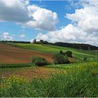 Diagonales rurales en Lomagne