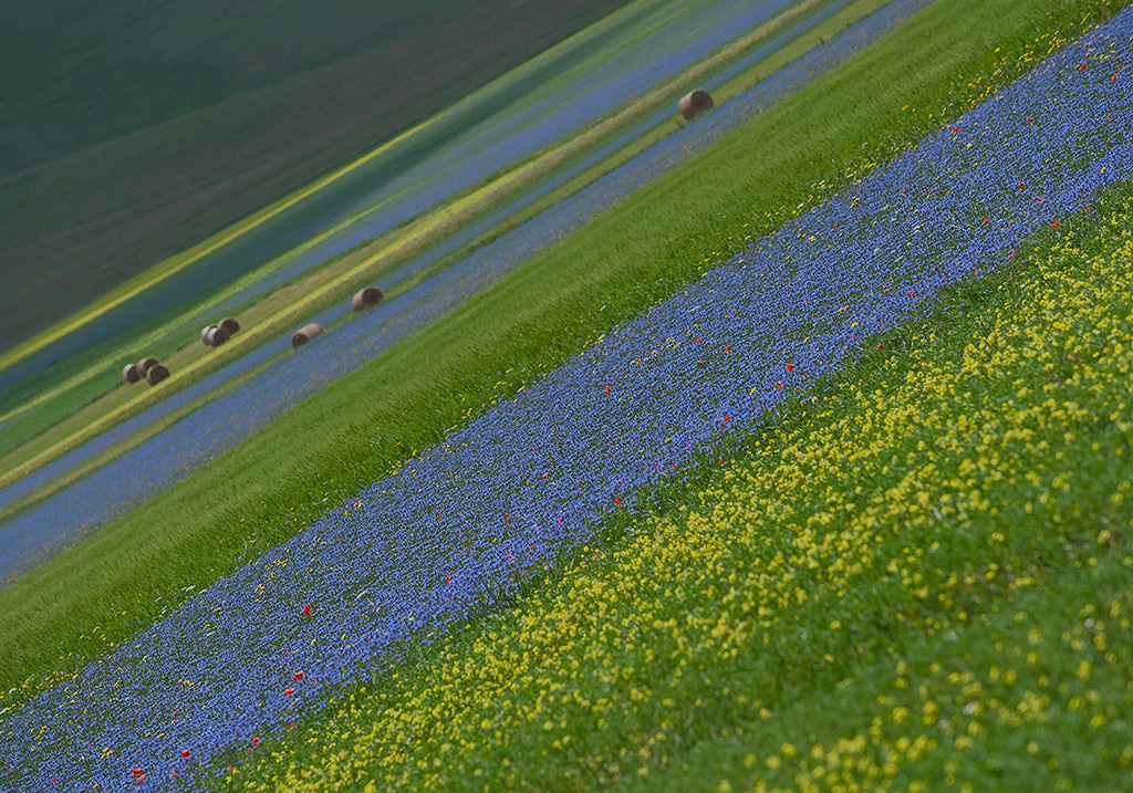 Diagonali di colore