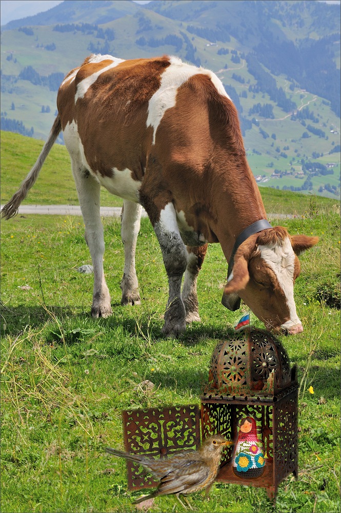 dialog auf der alm