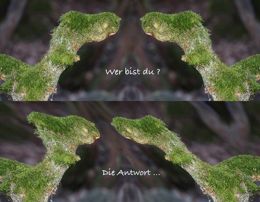 Dialog  -  Dialogue...