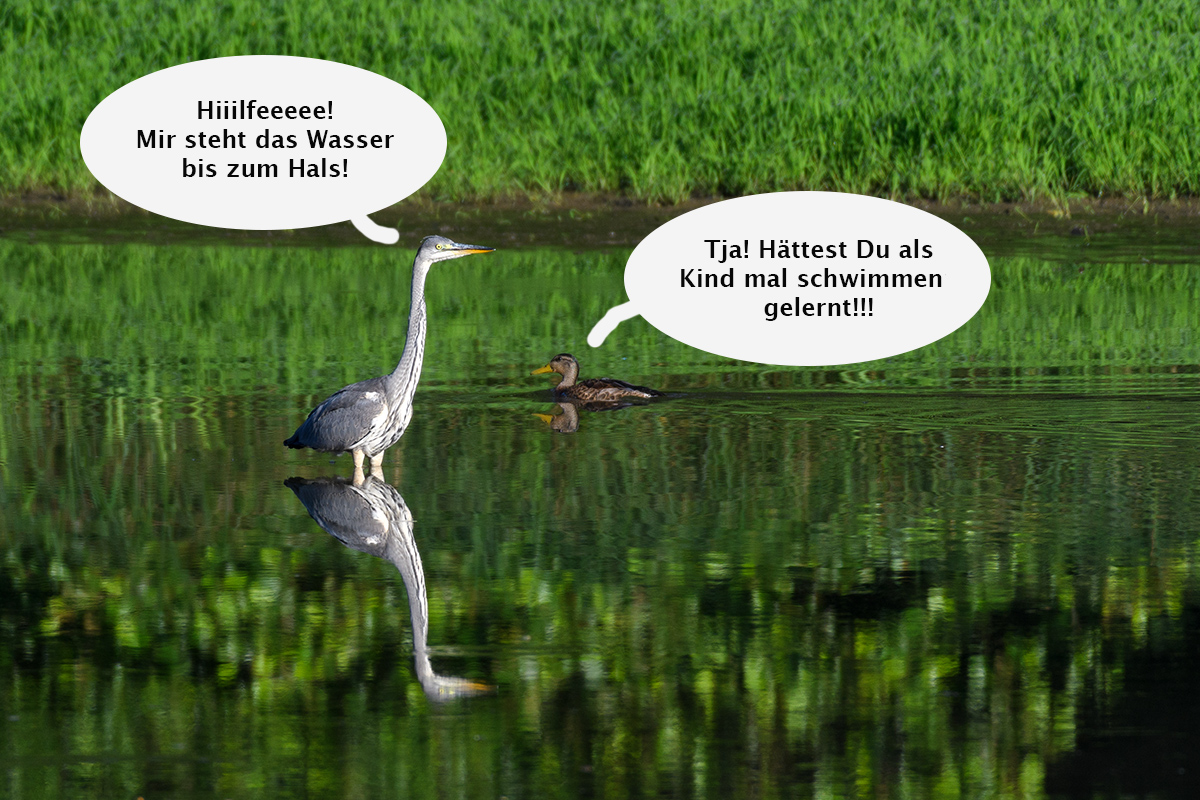 Dialog im Fluss