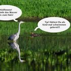 Dialog im Fluss