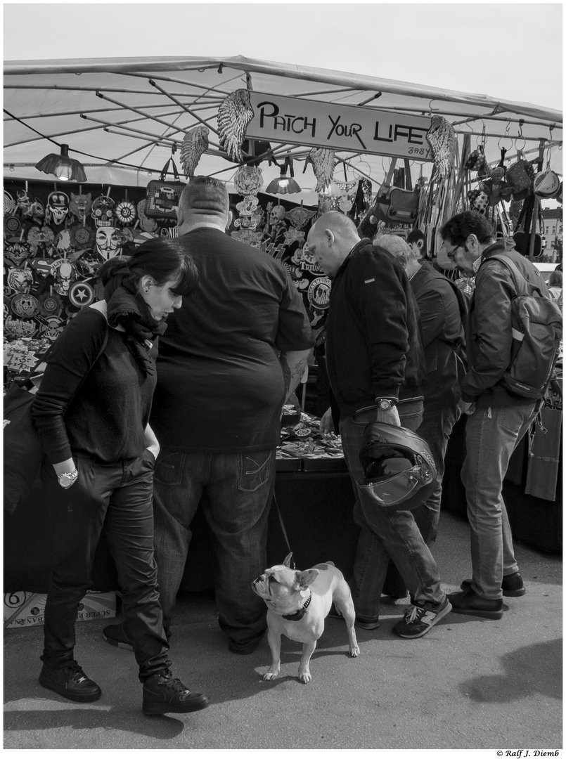 Dialog im Mauerpark