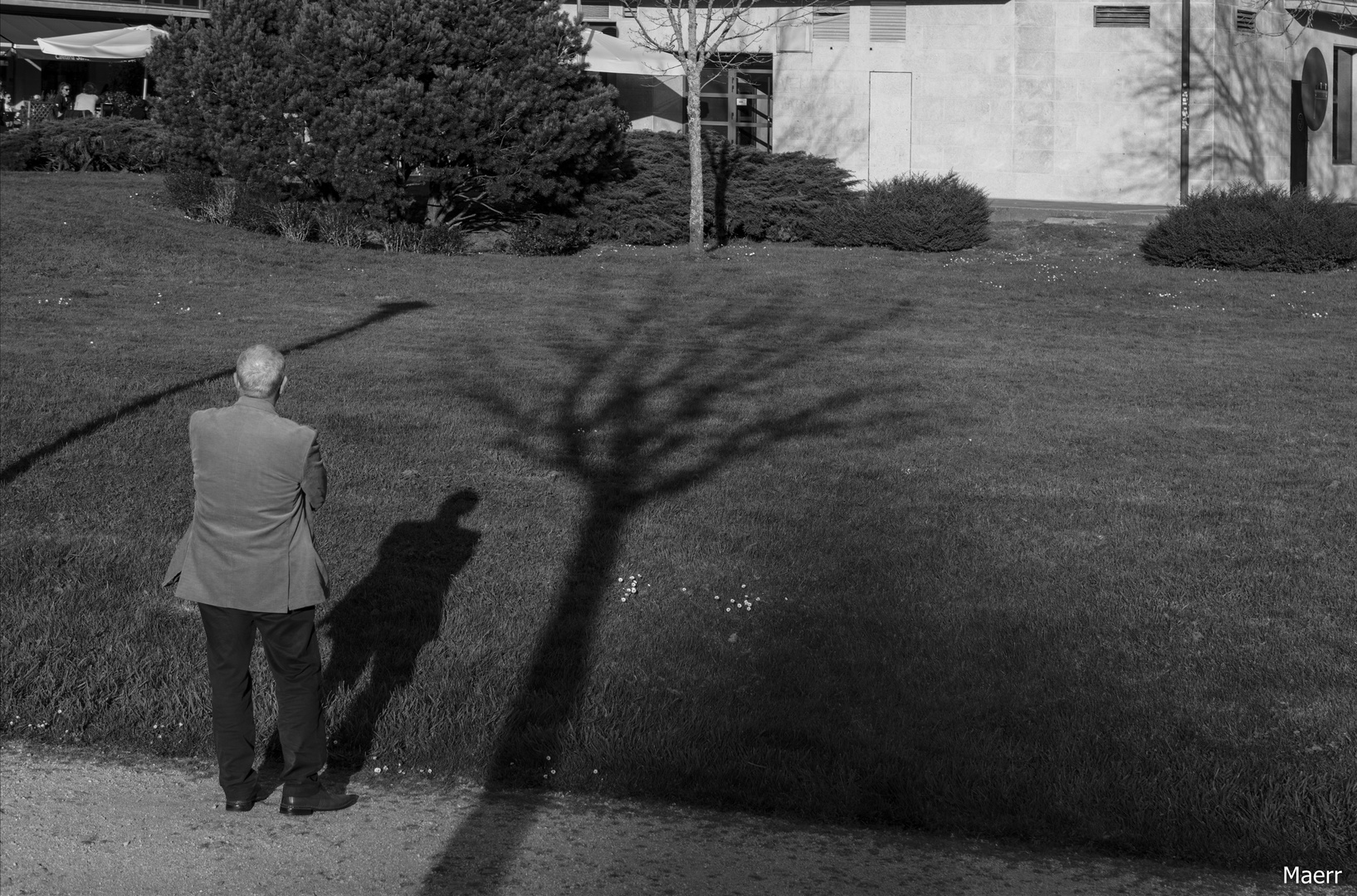 Dialogando con el árbol al atardecer.