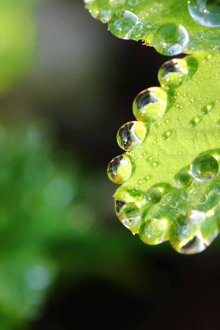 Diamanten des Natur